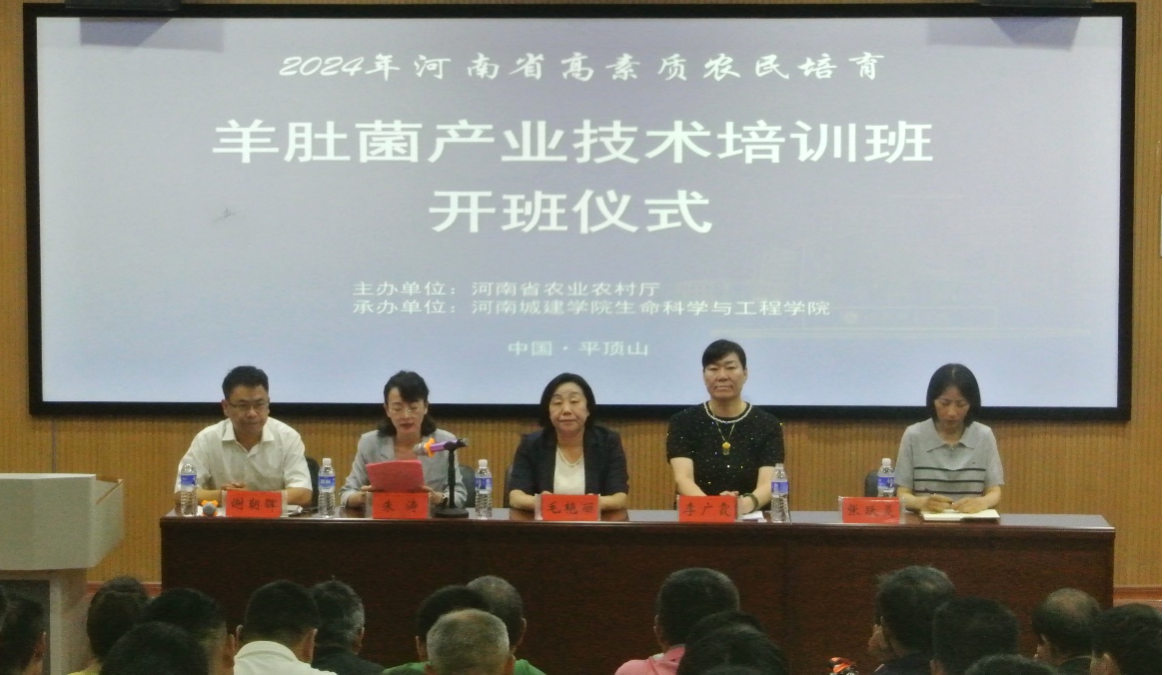 2025新奥历史开奖记录