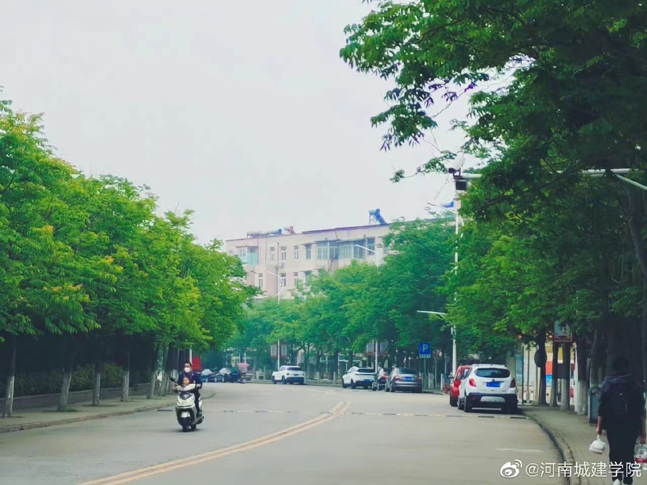 2025新奥历史开奖记录