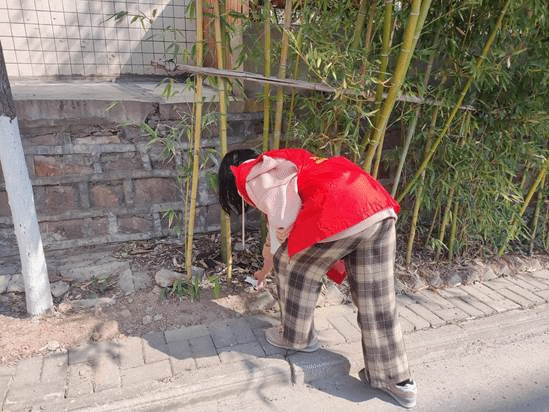 2025新奥历史开奖记录