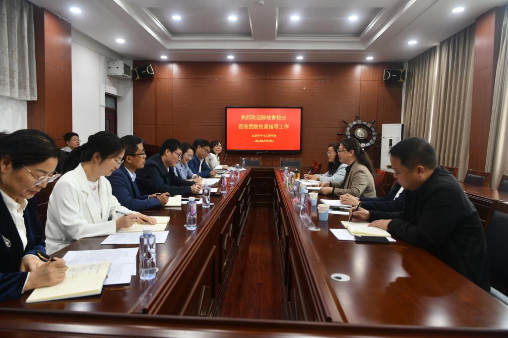 2025新奥历史开奖记录