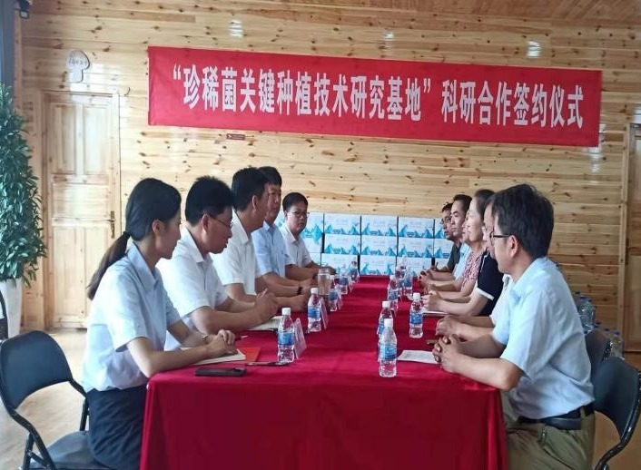 2025新奥历史开奖记录